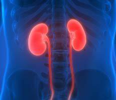 Kidney Disease